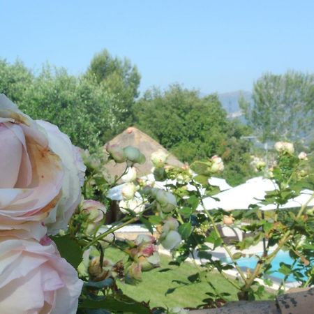 Villa Kilauea B&B Nice Dış mekan fotoğraf